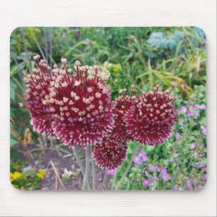 Mousepad Plantas De Cebola De Alho
