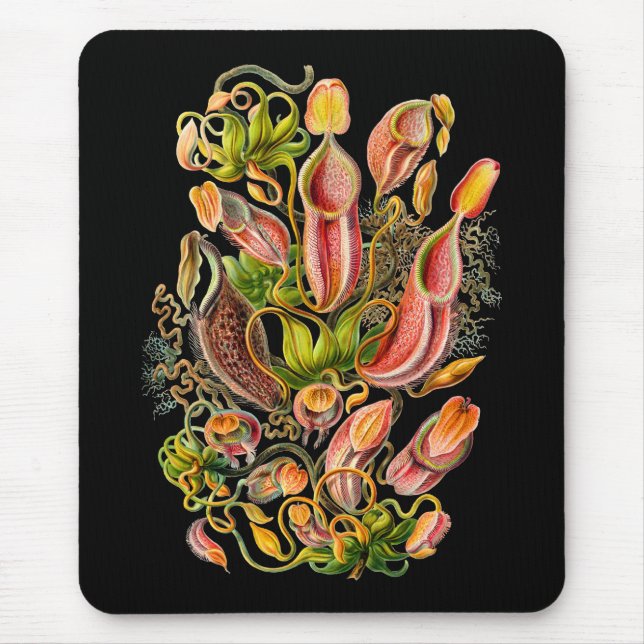 Mousepad Plantas de jarro (Frente)