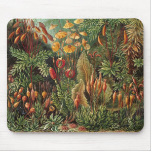 Mousepad Plantas de Musgo Antigo por Ernst Haeckel, Muscina
