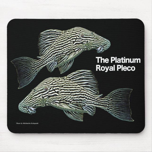 Mousepad Platinum Royal Pleco (Frente)