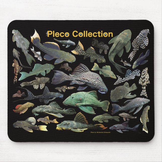 Mousepad Pleco collection (Frente)