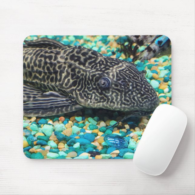 Mousepad Plecostomus On Gravel (Com mouse)