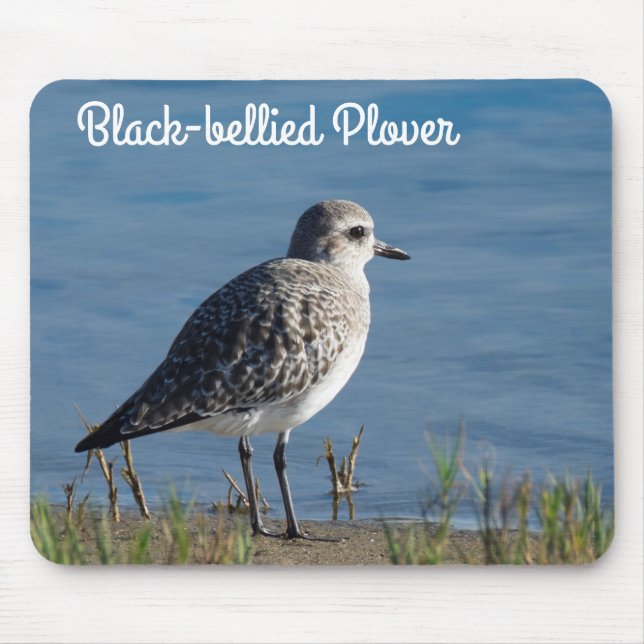 Mousepad Plover Bellying Negro (Frente)