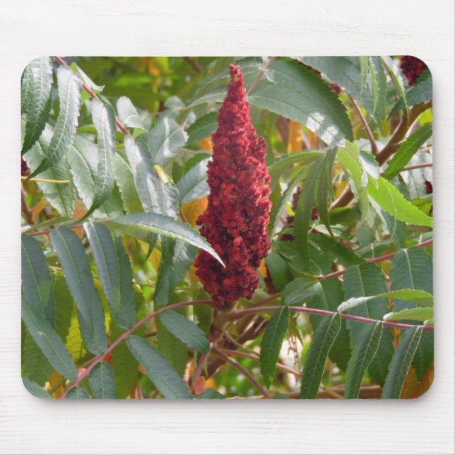 Mousepad Pluma de Flores (Frente)