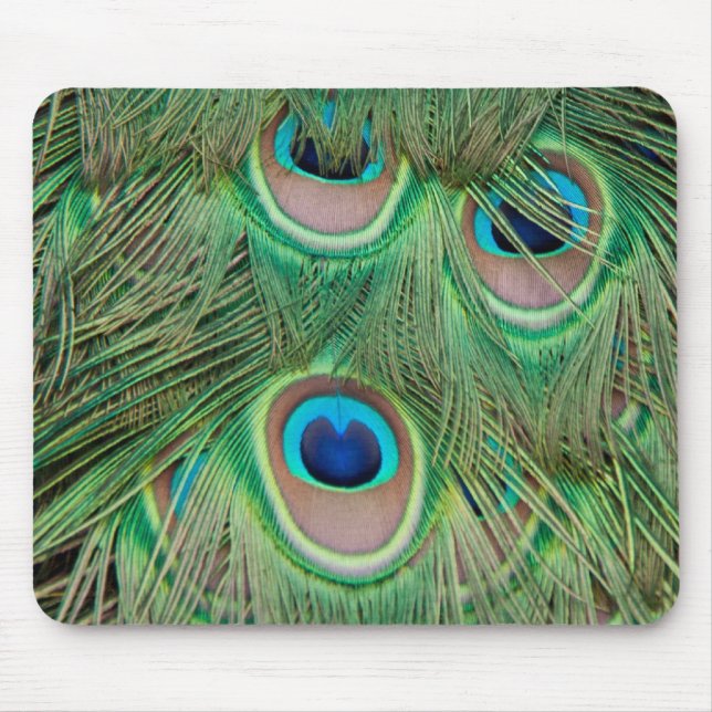 Mousepad Plumagem de peacock (Frente)