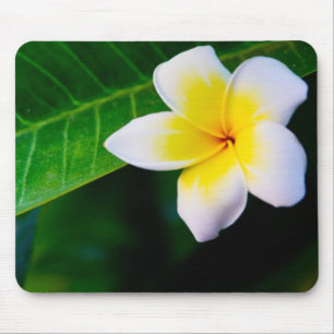 Mousepad plumeria