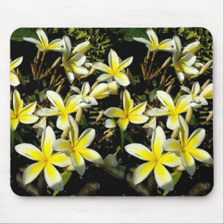 Mousepad Plumeria Mouspad