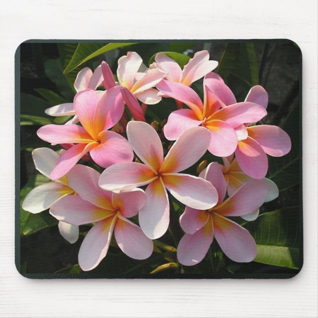 Mousepad Plumerias na flor (Frente)