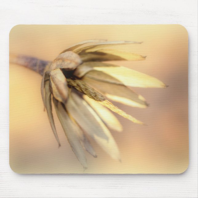 Mousepad Pod de Semente Vazia do Poplar (Frente)