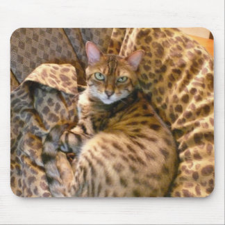 Mousepad Pode você ver-me?