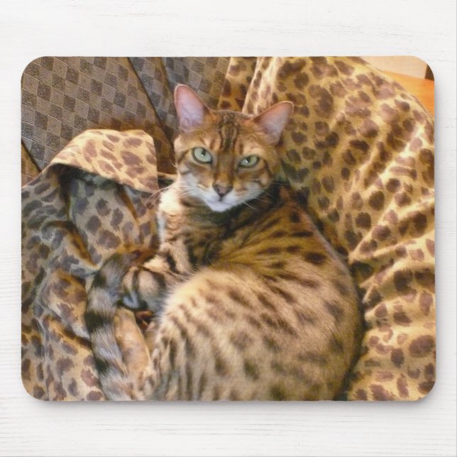 Mousepad Pode você ver-me? (Frente)