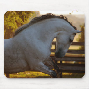 Mousepad Poder de uma égua andaluza
