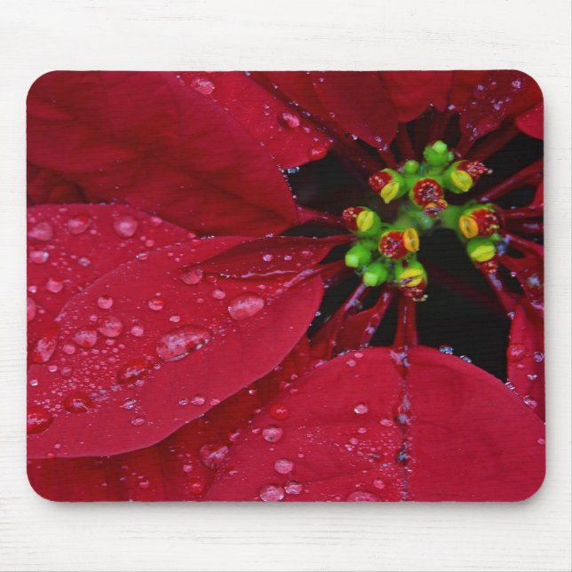 Mousepad Poinsettia (Frente)