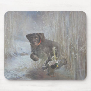 Mousepad Pointer de Cabelo Raspado Alemão