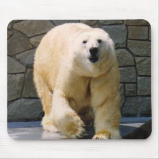 Mousepad Polarbear