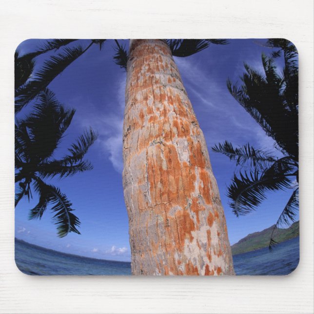 Mousepad Polinésia Francesa, Bora Bora, Palmeiras (Frente)