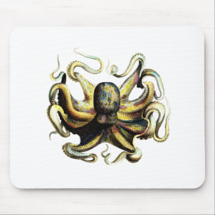 Mousepad Polvo