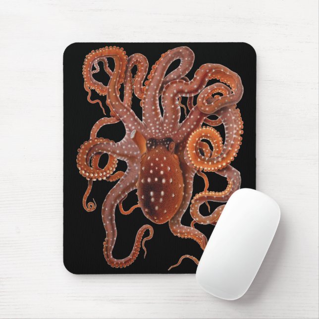 Mousepad Polvo Macropus, Animais Aquáticos Marinhos Vintage (Com mouse)