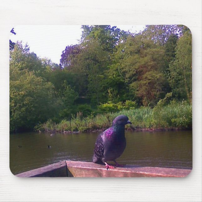 Mousepad Pombo inquisidor (Frente)