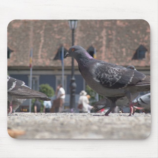 Mousepad Pombos-passeio (Frente)