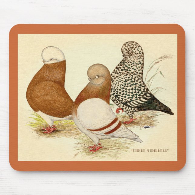 Mousepad Pombos-Tumbler Três (Frente)