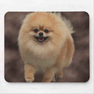 Mousepad Pomeranian