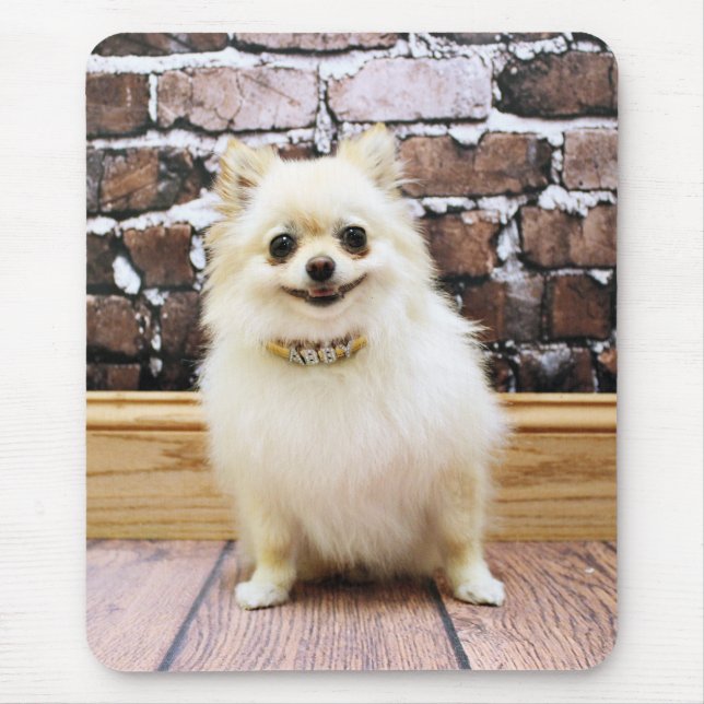 Mousepad Pomeranian - colar da vaidade de Abby (Frente)