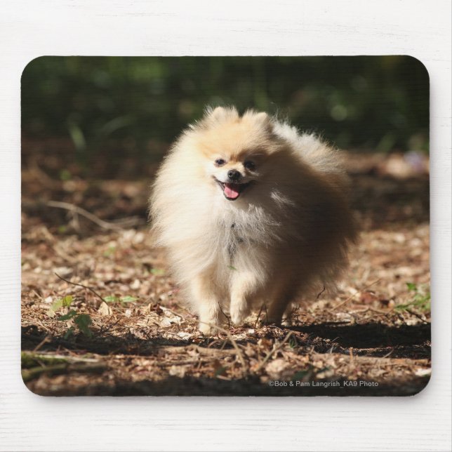 Mousepad Pomeranian que trota nas folhas caídas (Frente)