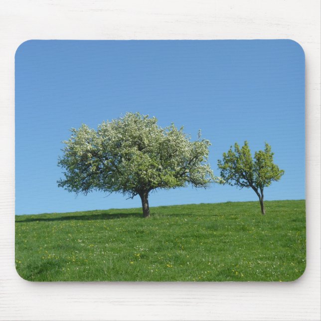 Mousepad pommiers (Frente)