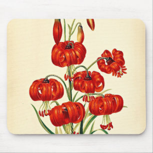 Mousepad Pompone Red Lily Vintage Botânica