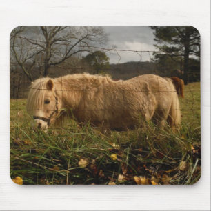 Mousepad Pônea Loura Miniatura / Cavalo