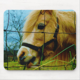 Mousepad Pônea Loura Miniatura / Céu Azul Cavalo