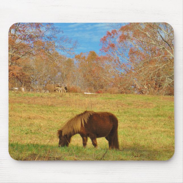 Mousepad Pônea miniatura castanha (Frente)