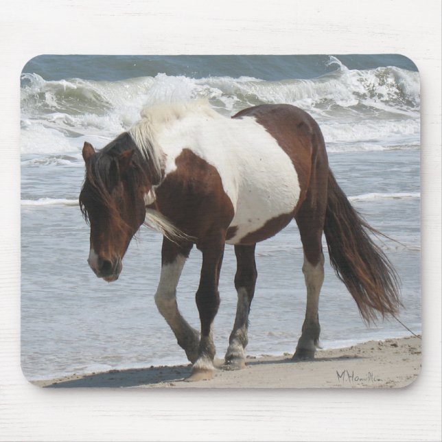 Mousepad Pônei da ilha de Assateague (Frente)