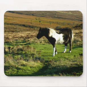 Mousepad Pônei em Dartmoor