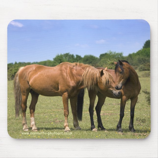 Mousepad Pôneis no amor Mousemat (Frente)
