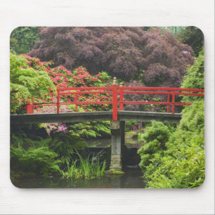 Mousepad Ponte do Coração com rododendros floridos,