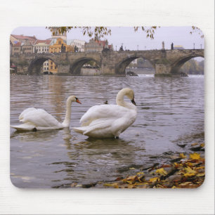 Mousepad Ponte Swans e Charles em Praga