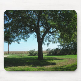 Mousepad Ponteira de Árvore
