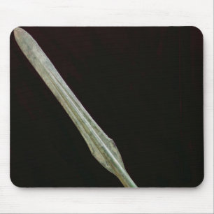 Mousepad Ponto da lança, período de Yayoi, 200 BC-AD 100