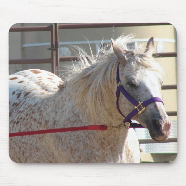 Mousepad Pony (Frente)