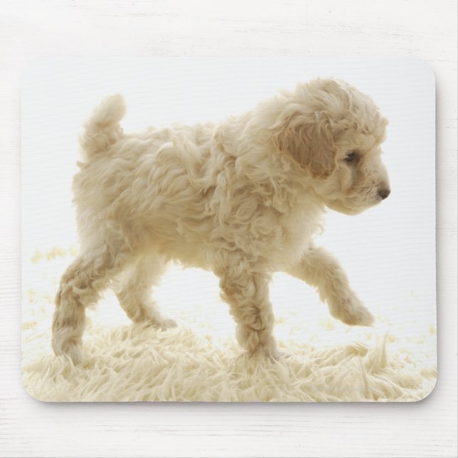 Mousepad Poodle Puppy (Frente)