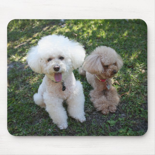 Mousepad Poodles (Frente)