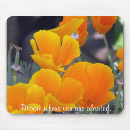 Mousepad Poppies bonito da Califórnia com Cotação