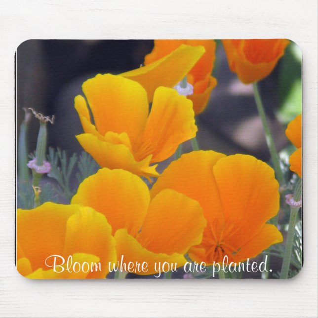 Mousepad Poppies bonito da Califórnia com Cotação (Frente)