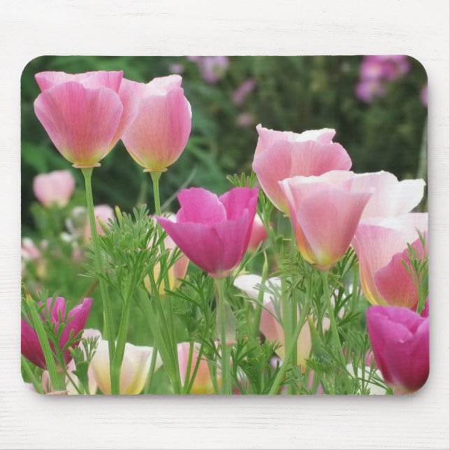 Mousepad Poppies californianos rosa (Frente)