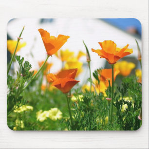 Mousepad Poppies da Califórnia