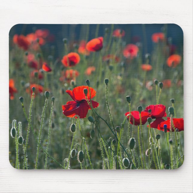 Mousepad Poppies in a Field (Frente)