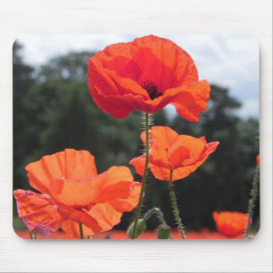 Mousepad Poppy Field, lindas flores.