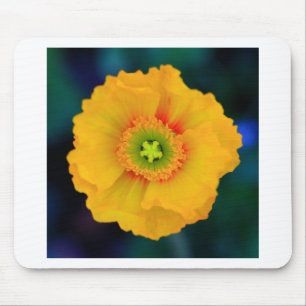 Mousepad Poppy islandês